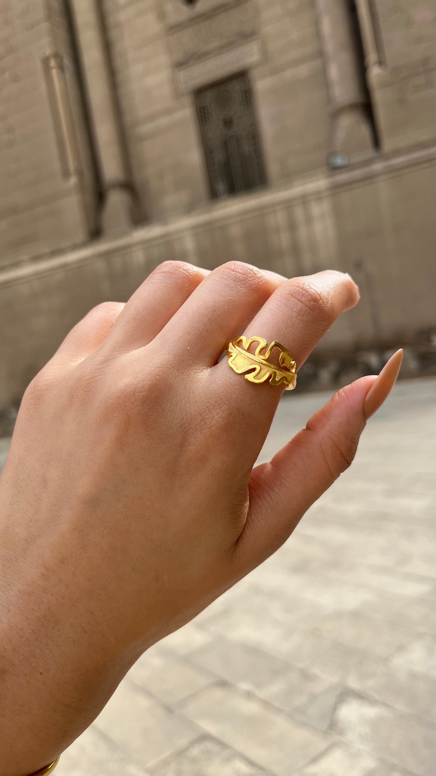 Golden Fern Set – Inspired by Natural Beauty